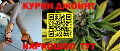 гидропоника Гатчина